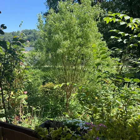 캠프장 Campingurlaub Mit Blick Auf Elbe